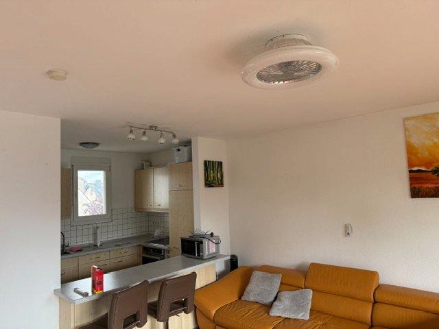 Wohnen auf Zeit Hanau Großauheim - 3 Zimmer, 48 m&sup2;, 1.118&euro; | Angebot:26194637