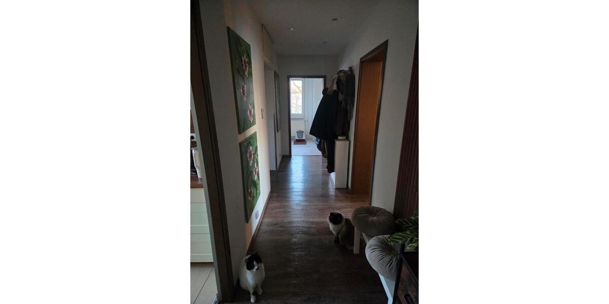 Wohnen auf Zeit Bielefeld Sennestadt - 1 Zimmer, 75 m&sup2;, 450&euro; | Angebot:25280789