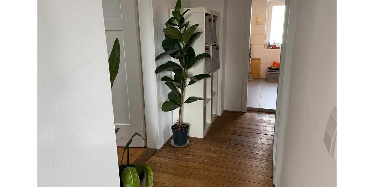 Kurze Zwischenmiete | Short-term Sublet furnished (27 Feb-20 Mär) 2 zimmer