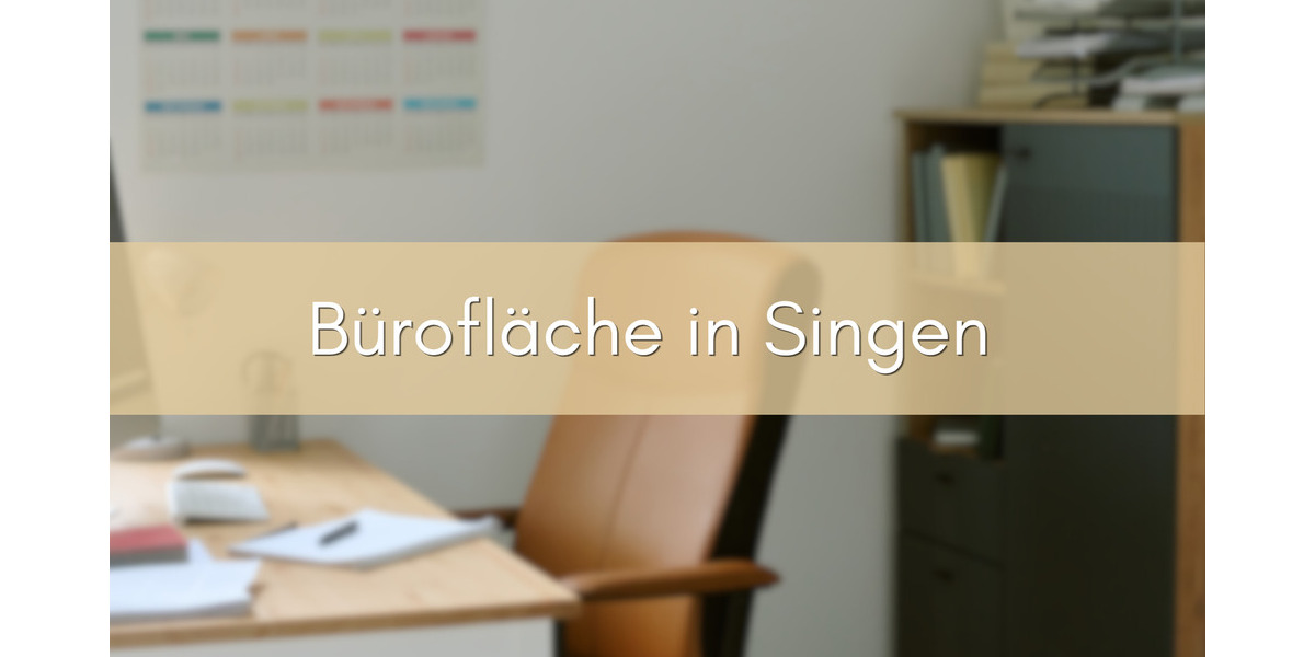 Gewerbeobjekt Singen (Hohentwiel) Singen - 6 Zimmer, 129 m&sup2;, 1.550&euro; | Angebot:25879519