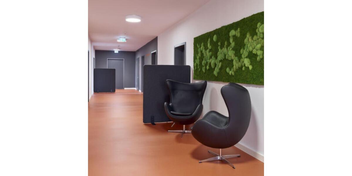 Gewerbeobjekt Gröningen - 250&euro; | Angebot:24217960