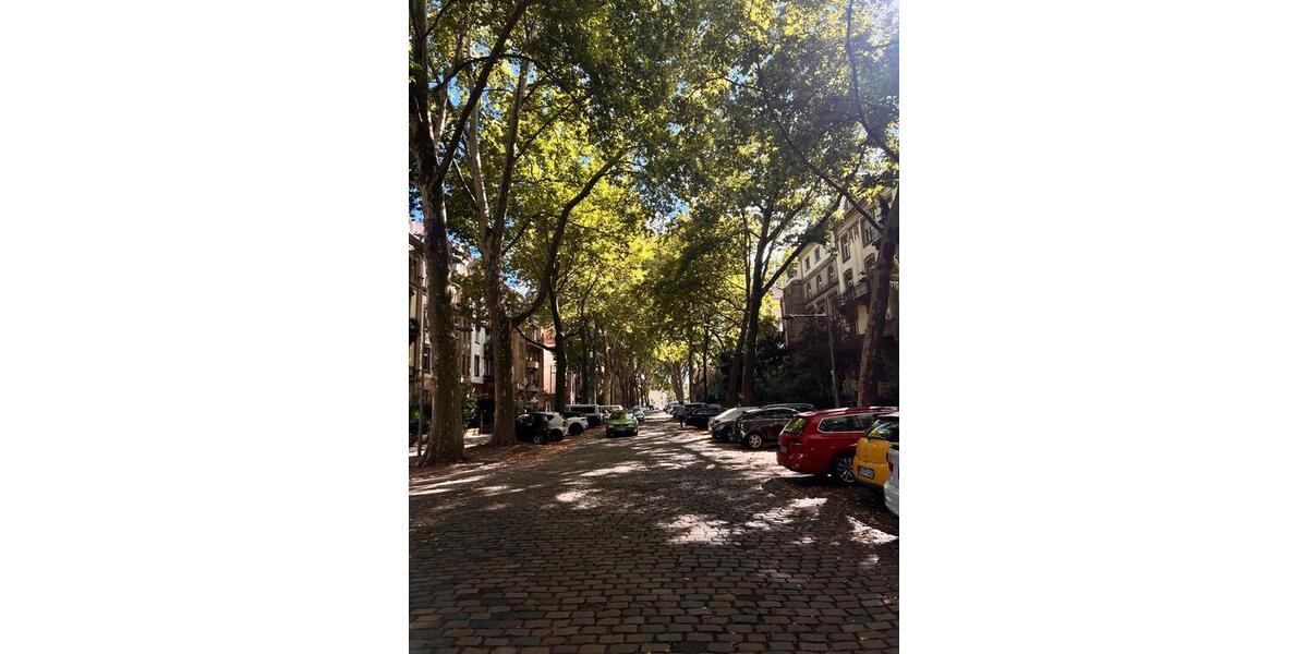 Mannheim Neckarstadt Ost Wohnung zur Untermiete frei zimmer