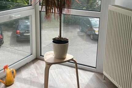 Gewerbeobjekt Osterburg (Altmark) - 580&euro; | Angebot:20753140