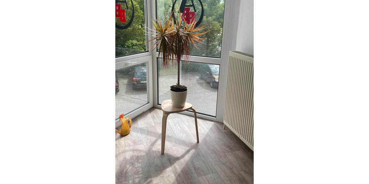 Gewerbeobjekt Osterburg (Altmark) - 580&euro; | Angebot:20753140