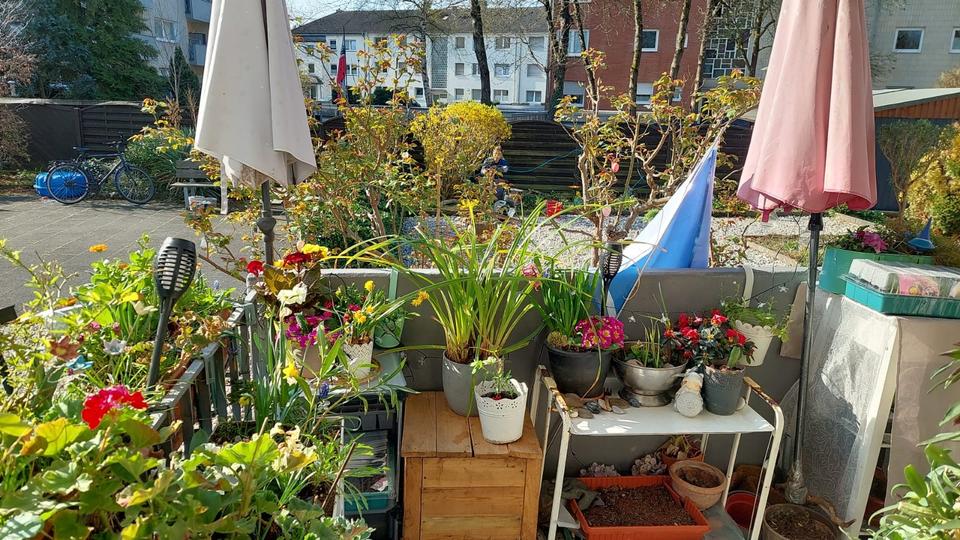 Wohnen auf Zeit Köln Porz - 1 Zimmer, 16 m&sup2;, 480&euro; | Angebot:25153194