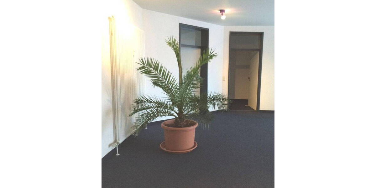 Gewerbeobjekt Offenburg Südstadt - 350&euro; | Angebot:26122740