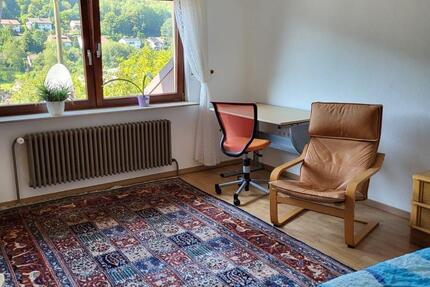 Wohnung Heidelberg Peterstal - 2 Zimmer, 50 m&sup2;, 590&euro; | Angebot:25239747