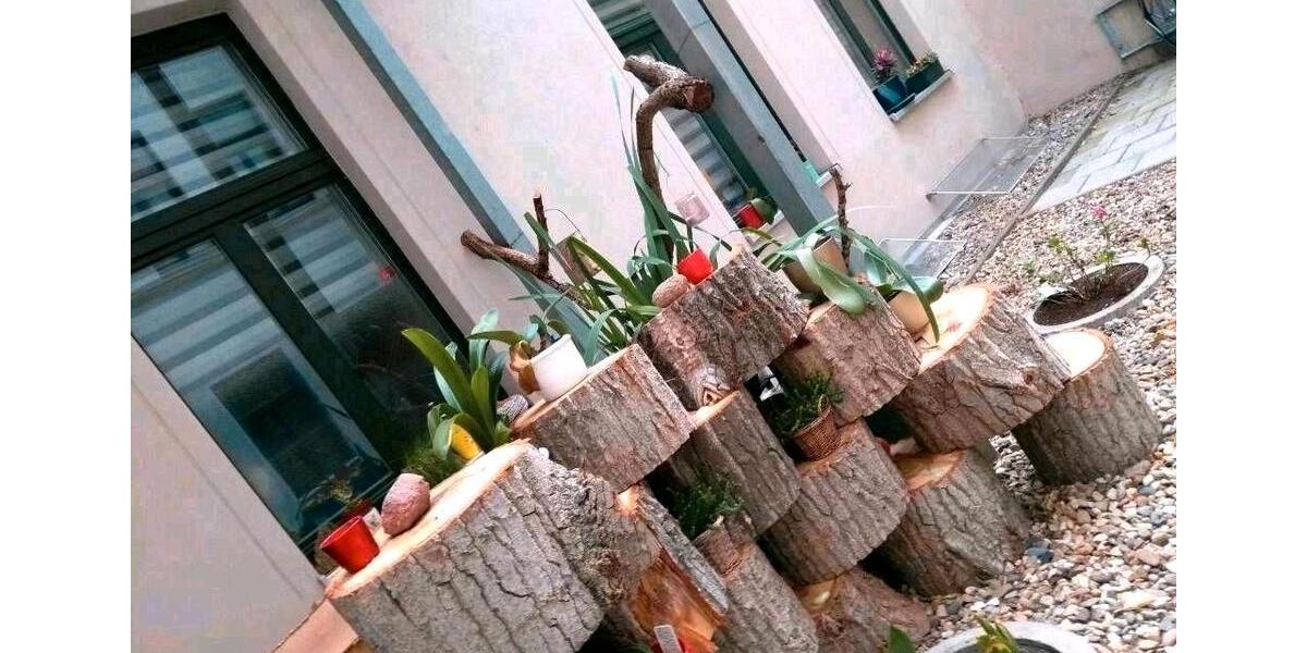 Wohnen auf Zeit Magdeburg - 2 Zimmer, 55 m&sup2;, 980&euro; | Angebot:26272124