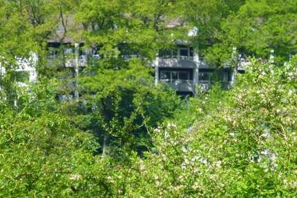 Wohnung zum Mieten in Lüdenscheid 310 € 37 m² 1 zimmer