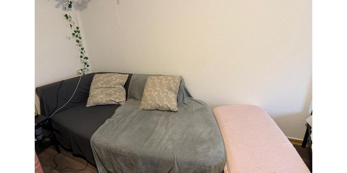 Wohnen auf Zeit Greifswald - 1 Zimmer, 32 m&sup2;, 350&euro; | Angebot:24784337