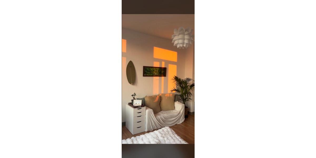 Wohnen auf Zeit Mannheim Neckarstadt-Ost - 1 Zimmer, 20 m&sup2;, 540&euro; | Angebot:26486588