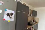 Wohnen auf Zeit Rodgau - 1 Zimmer, 10 m&sup2;, 450&euro; | Angebot:26438448