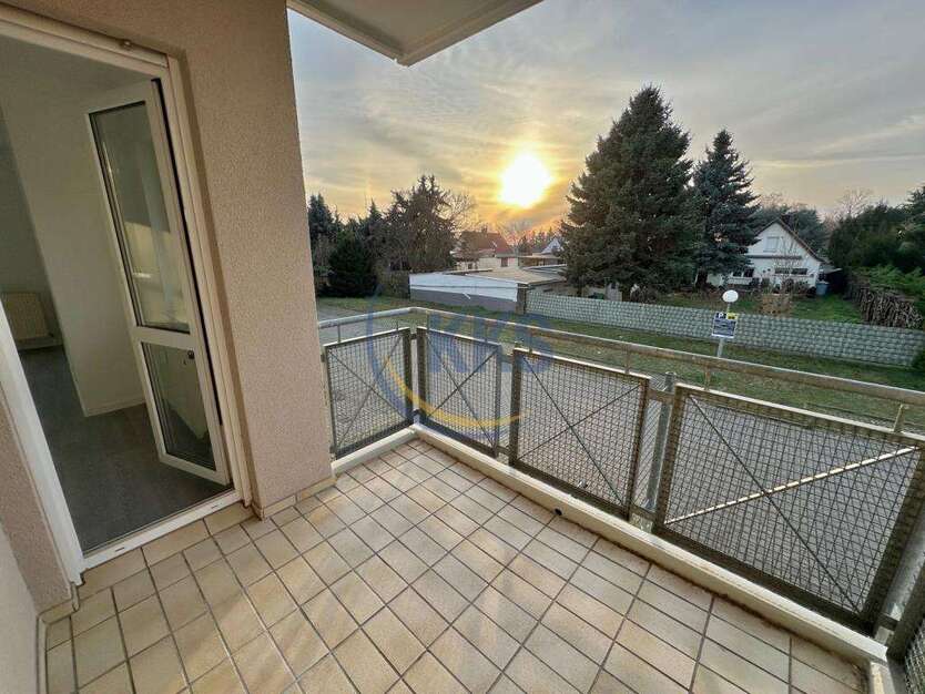 Wohnung zum Mieten in Leipzig 450 € 56.61 m² 2 zimmer