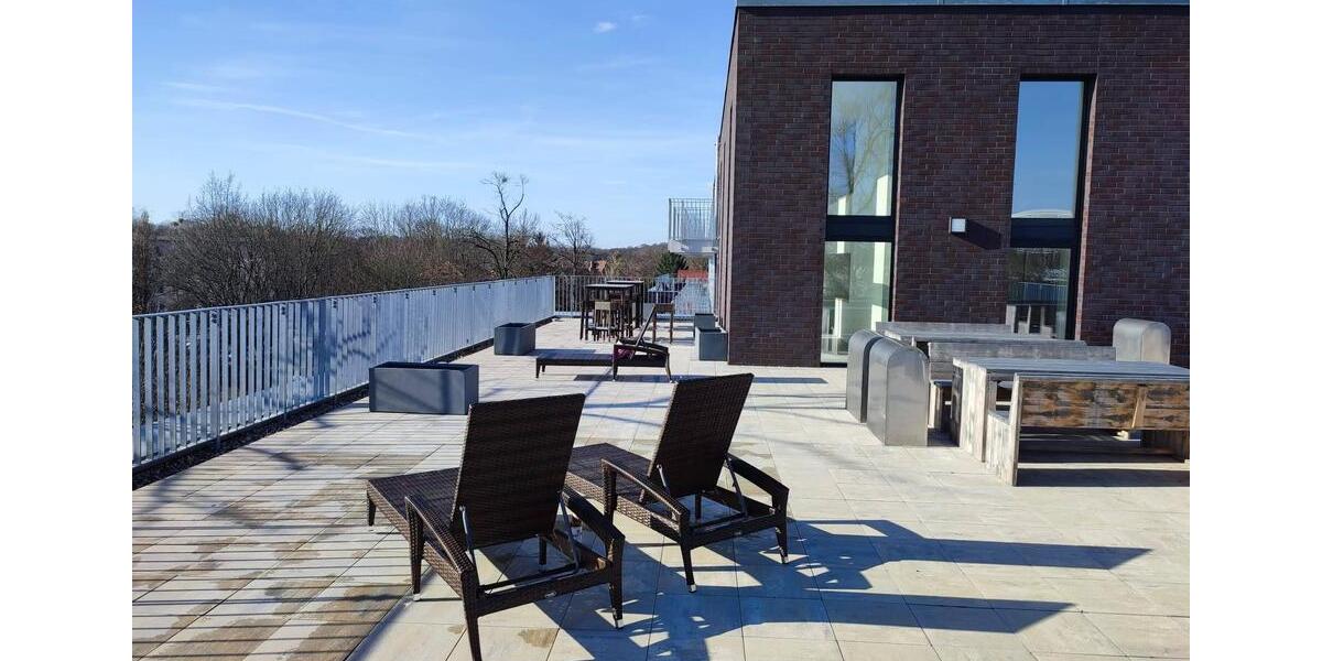 Großes 1-Raumapartment zur Miete in Potsdam Bornstedt - Wentzel Dr. - 1 zimmer