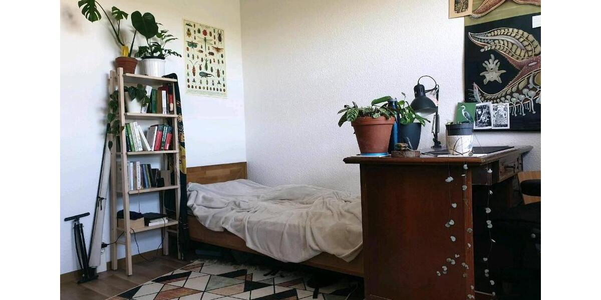 Wohnen auf Zeit Greifswald Groß Schönwalde - 1 Zimmer, 60 m&sup2;, 315&euro; | Angebot:26492588