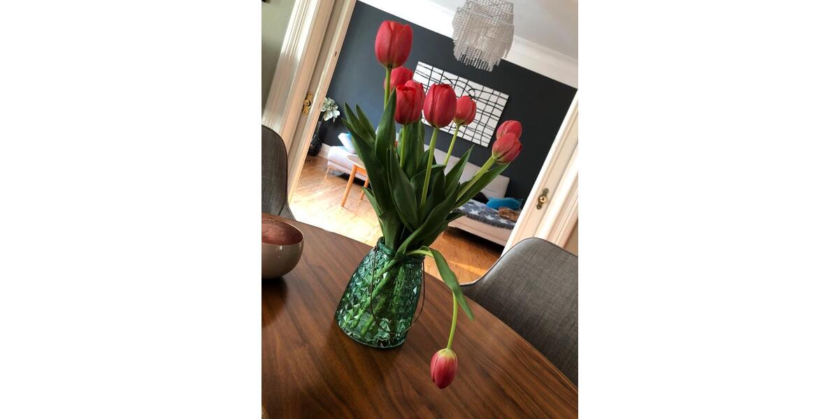 Wohnen auf Zeit Kiel Ravensberg - 3 Zimmer, 80 m&sup2;, 2.000&euro; | Angebot:26591885