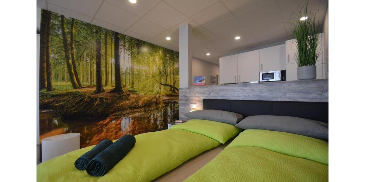 Etagenwohnung Offenbach am Main - 1 Zimmer, 43 m&sup2;, 1.250&euro; | Angebot:12974861