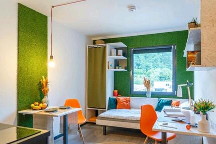 Wohnung Siegen Kaan-Marienborn - 1 Zimmer, 17 m&sup2;, 495&euro; | Angebot:26099103