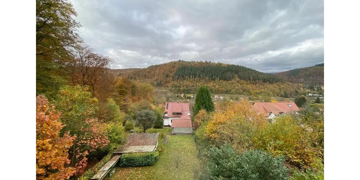 Natur Pur! Renovierte 2-Zimmer-Wohnungen mit Terrasse und Garten zimmer