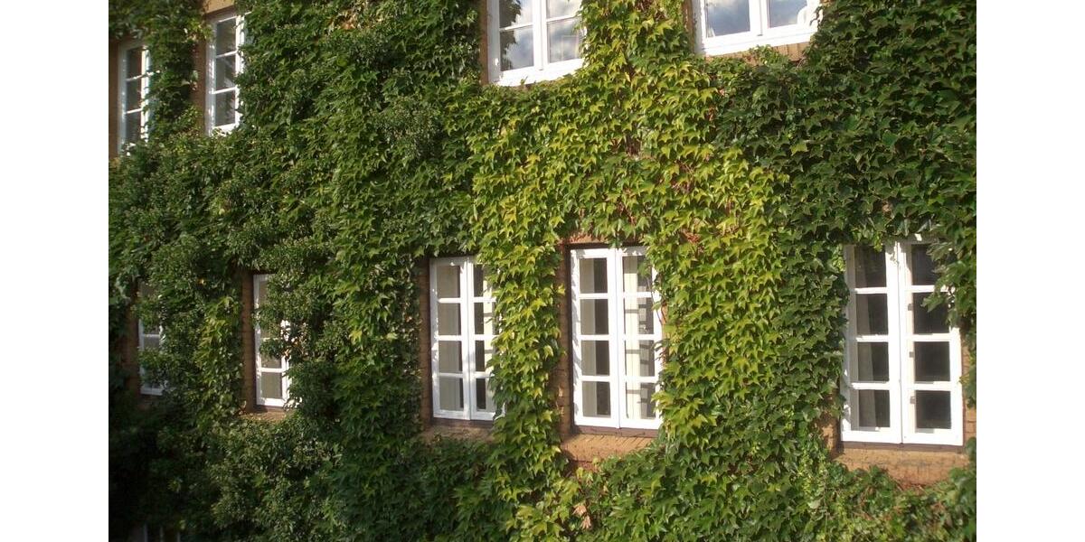 Dachgeschoßwohnung Dannenberg (Elbe) - 2 Zimmer, 55 m&sup2;, 385&euro; | Angebot:25234899