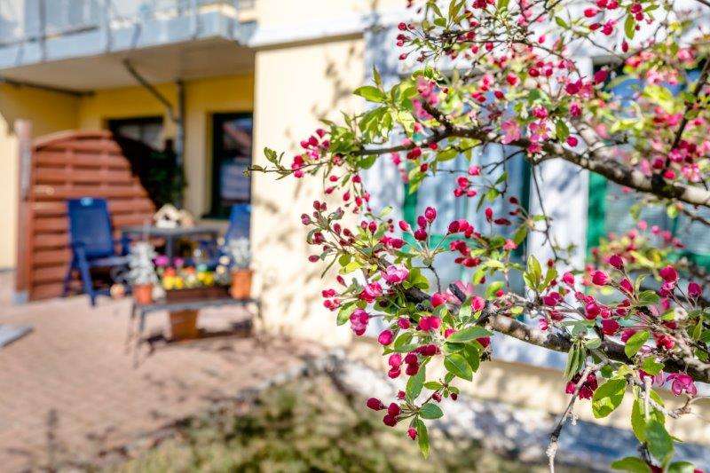 Etagenwohnung Borsdorf OT Panitzsch Panitzsch - 1 Zimmer, 48 m&sup2;, 410&euro; | Angebot:26617870