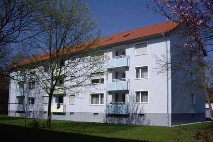 Wohnung zum Mieten in Langenau 645 € 100.22 m² 3 zimmer