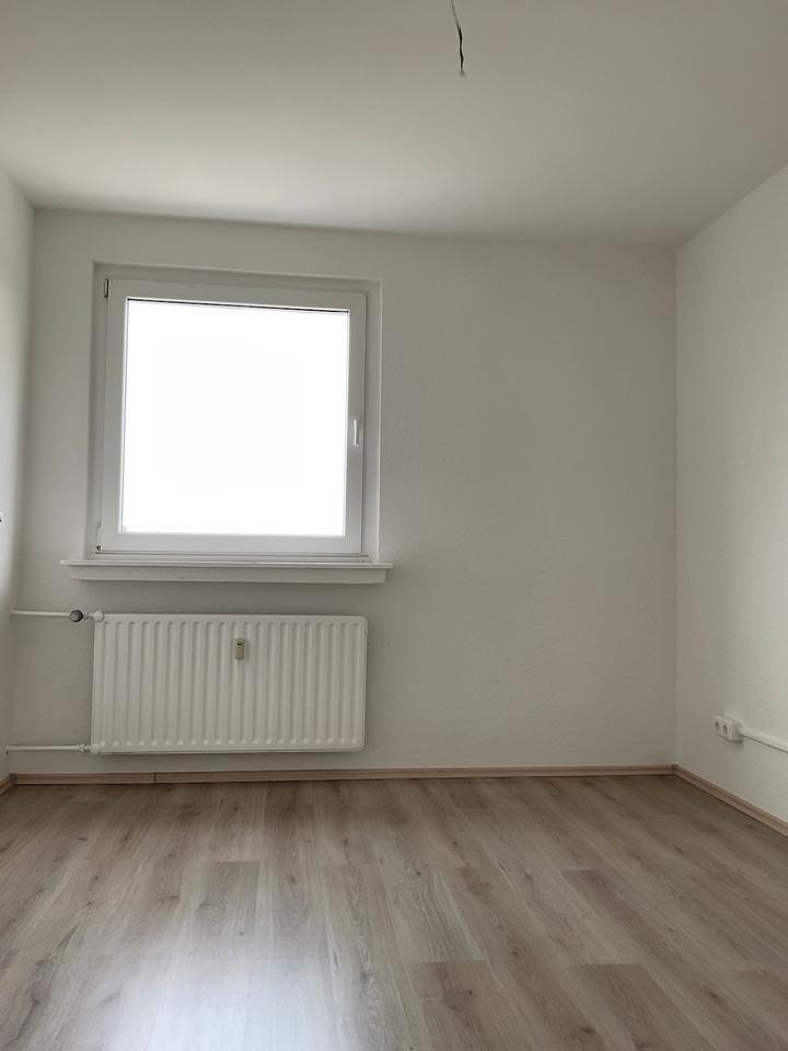3 Zimmer Wohnung zimmer