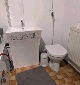 Wohnen auf Zeit Herbrechtingen - 1 Zimmer, 17 m&sup2;, 395&euro; | Angebot:26326677