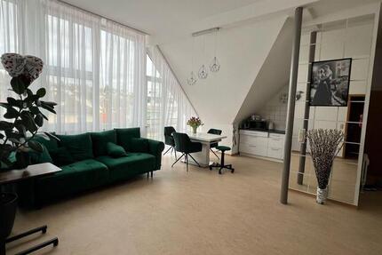 Wohnung Pforzheim Dillweißenstein - 2 Zimmer, 52 m&sup2;, 608&euro; | Angebot:25148913