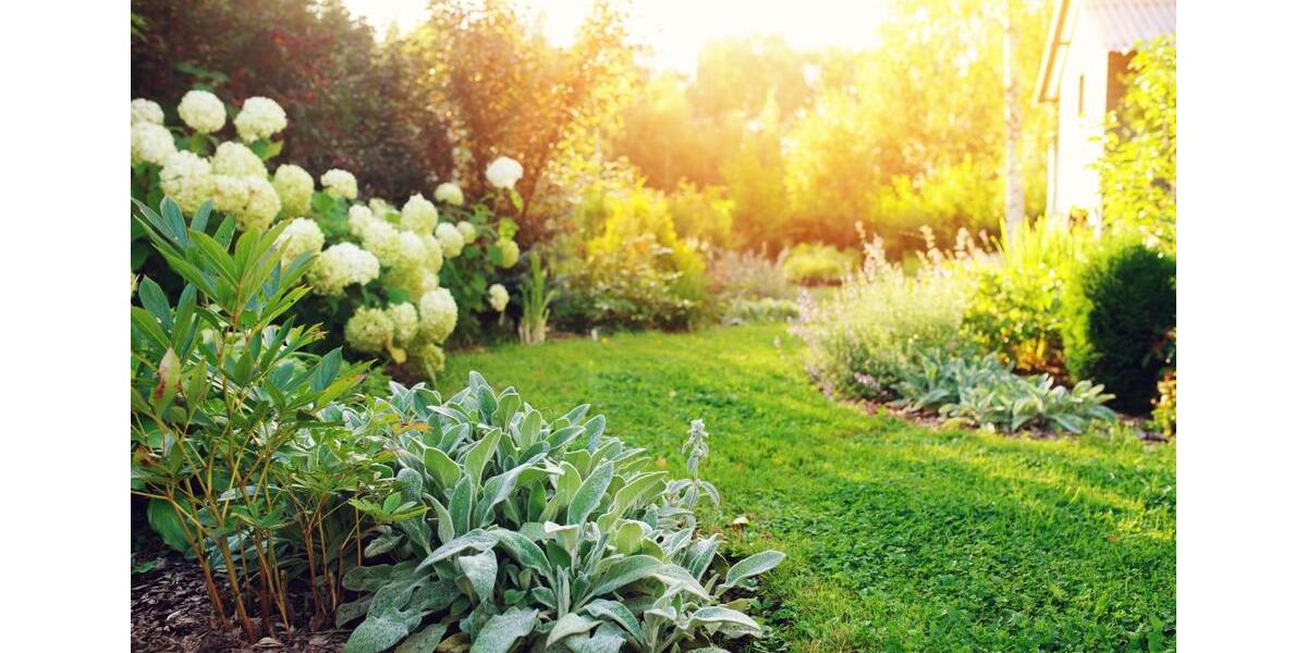 Hochparterre Limbach-Oberfrohna Oberfrohna - 4 Zimmer, 120 m&sup2;, 1.198&euro; | Angebot:25544762