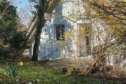 Wohnung Coburg - 1 Zimmer, 35 m&sup2;, 320&euro; | Angebot:26006518