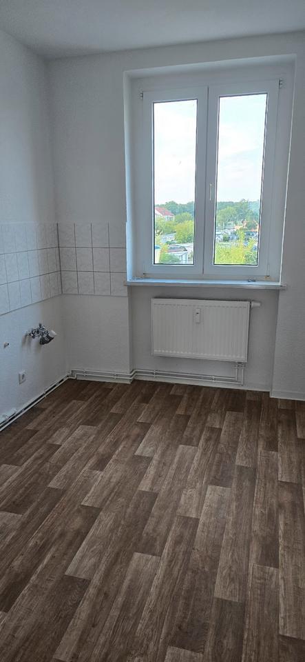 die erste Miete geschenkt für eine 3 Zimmerwohnung in der Waldstraße zimmer