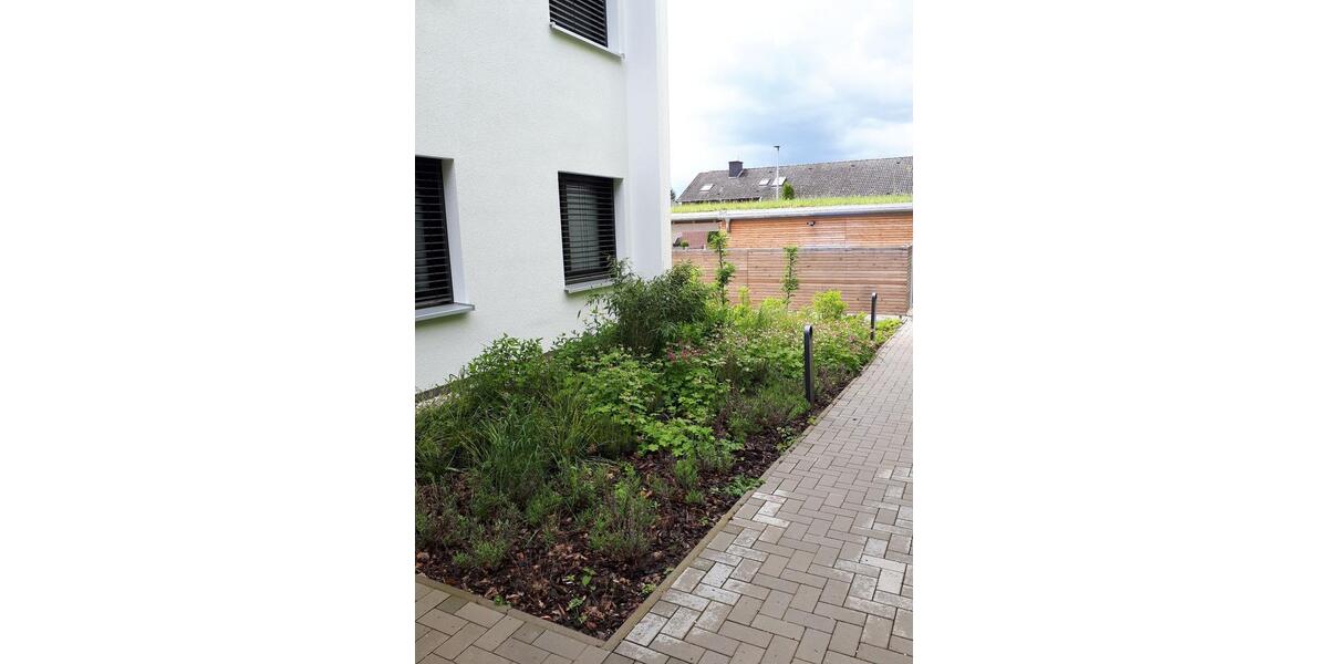 Erdgeschoßwohnung Nörten-Hardenberg Hardenberg - 2 Zimmer, 66 m&sup2;, 820&euro; | Angebot:26587333