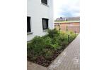 Erdgeschoßwohnung Nörten-Hardenberg Hardenberg - 2 Zimmer, 66 m&sup2;, 820&euro; | Angebot:26587333