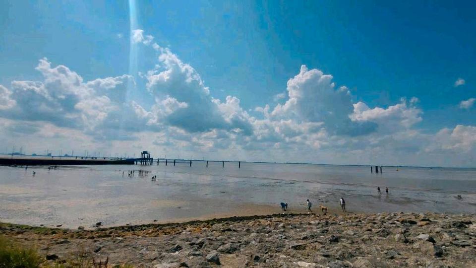 Wohnen auf Zeit Hage - 4 Zimmer, 100 m&sup2;, 1.250&euro; | Angebot:16677225