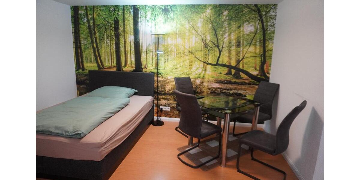 Wohnen auf Zeit Mühlheim am Main - 1 Zimmer, 44 m&sup2;, 875&euro; | Angebot:23572500