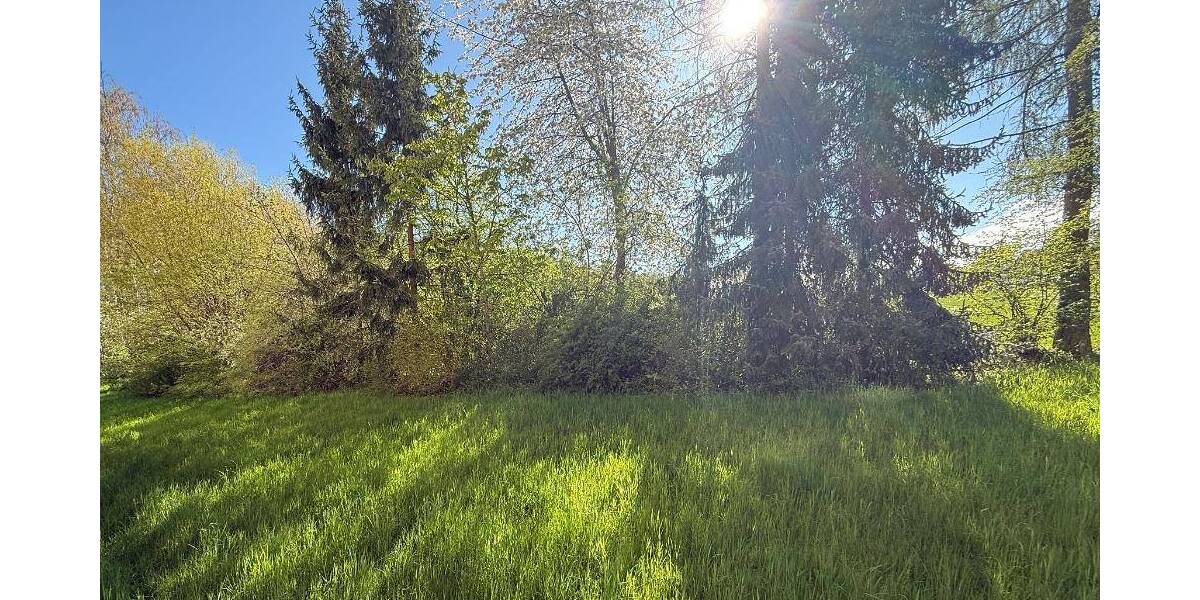 Etagenwohnung Wilkau-Haßlau Haßlau - 3 Zimmer, 57 m&sup2;, 320&euro; | Angebot:26476430