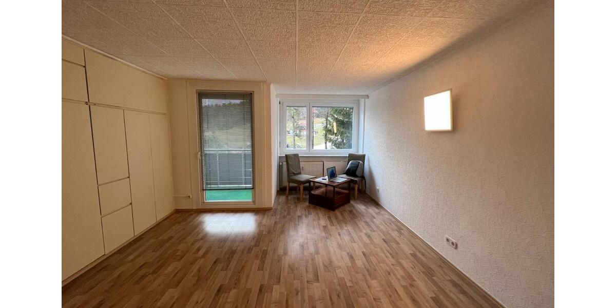 Etagenwohnung Baiersbronn - 1 Zimmer, 30 m&sup2;, 340&euro; | Angebot:26578966