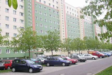 Wohnung zum Mieten in Magdeburg 367,18 € 66.76 m²