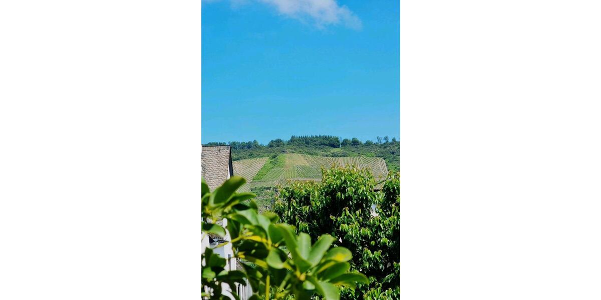 Wohnen auf Zeit Osterspai - 3 Zimmer, 70 m&sup2;, 30&euro; | Angebot:25540069