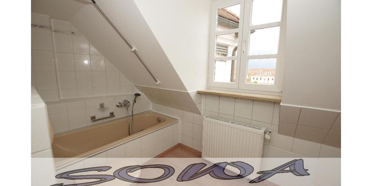 Schöne 3 Zimmer Wohnung im Zentrum mit Blick auf das Schloss in Neuburg zu vermieten - Ein neues Zuhause von SOWA Immobilien und Finanzen Ihr Experte vor Ort - 3- Neuburg | Angebot:26972364