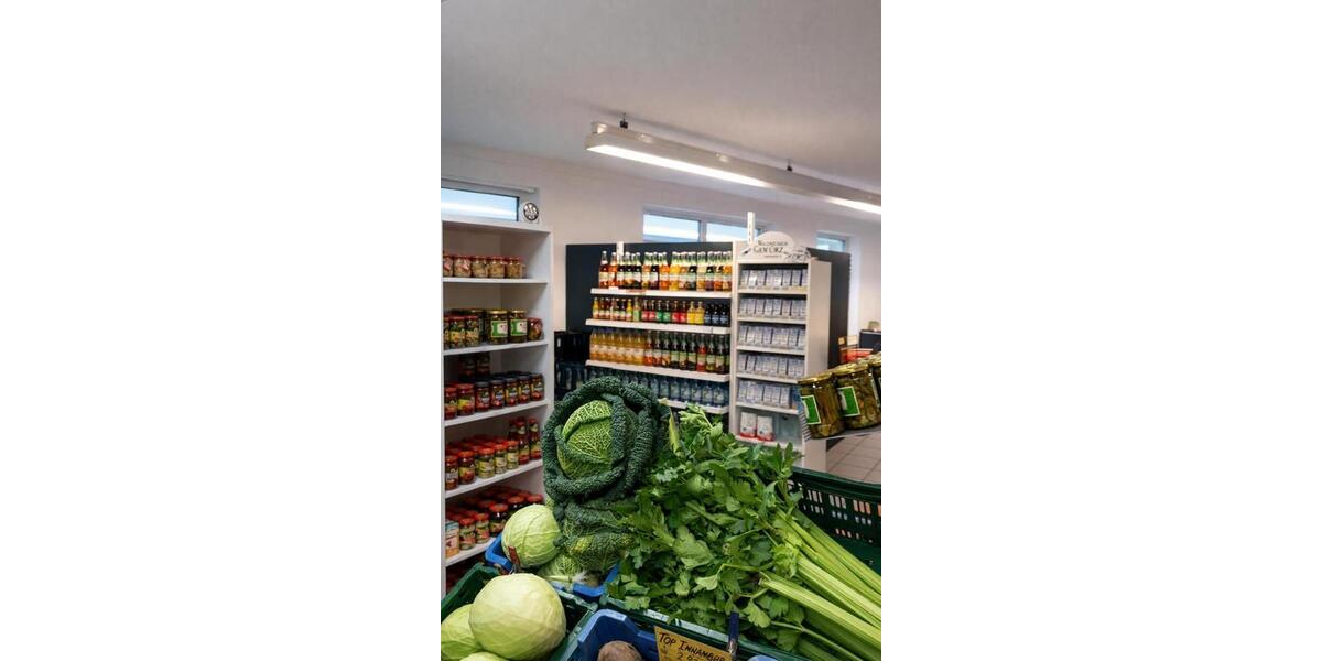 Gewerbeobjekt Bad Lausick - 900&euro; | Angebot:24456213