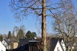 Etagenwohnung Bonn Friesdorf - 3 Zimmer, 70 m&sup2;, 1.700&euro; | Angebot:25405188