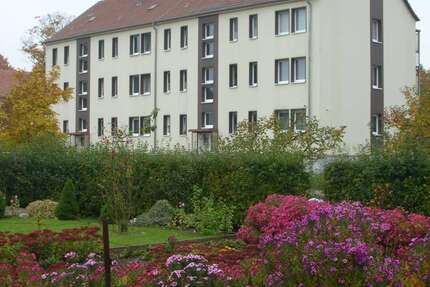 Wohnung zum Mieten in Märkische Heide 248,94 € 46.1 m² 2 zimmer