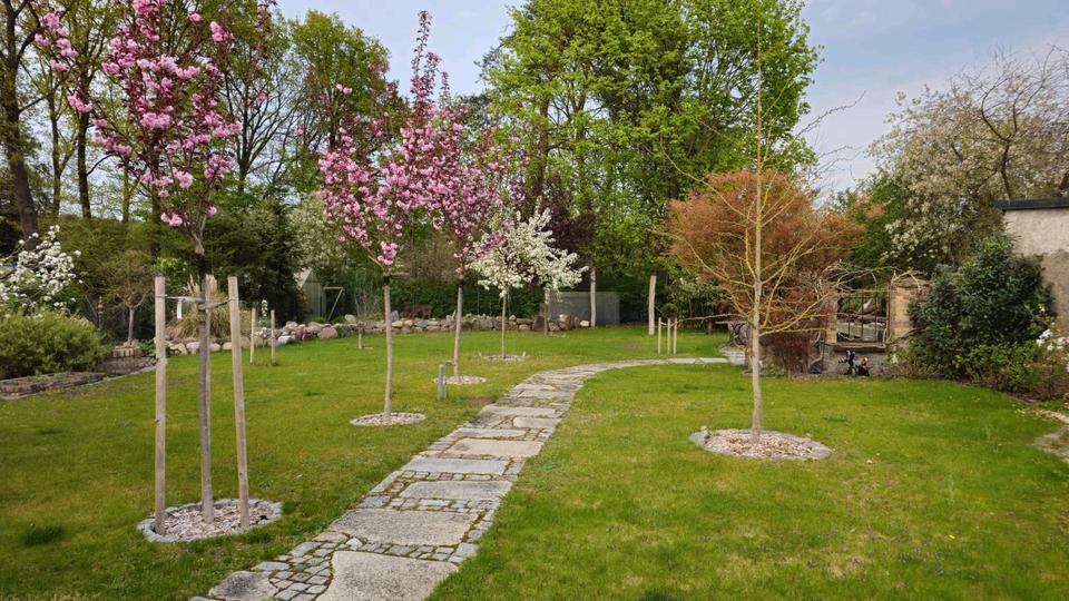 3 RaumWohnung mit großen Garten ....