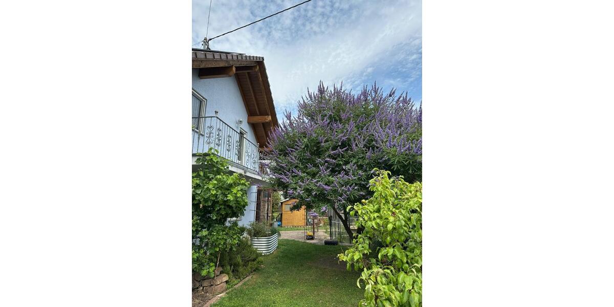 Einfamilienhaus Rheinhausen - 5 Zimmer, 150 m&sup2;, 2.395&euro; | Angebot:25053412