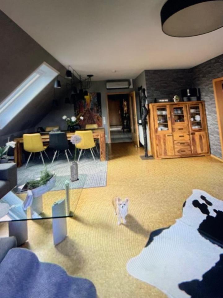 Lingenfeld geräumige 3 Zimmer Wohnung zu Vermieten