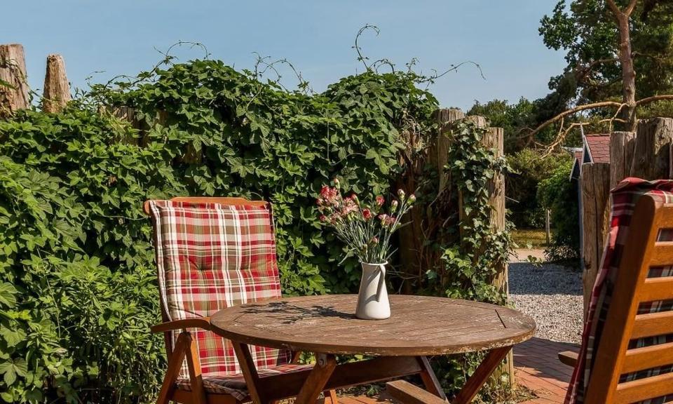 Erdgeschoßwohnung Prerow - 2 Zimmer, 36 m&sup2;, 520&euro; | Angebot:25351097