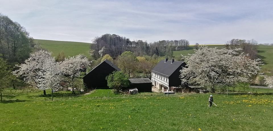 Erdgeschoßwohnung Klingenberg - 1 Zimmer, 40 m&sup2;, 200&euro; | Angebot:25311292