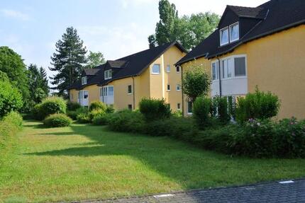 Schönes helles Apartment in gepflegter Anlage Bonn Beuel zum 1.2. 1 zimmer